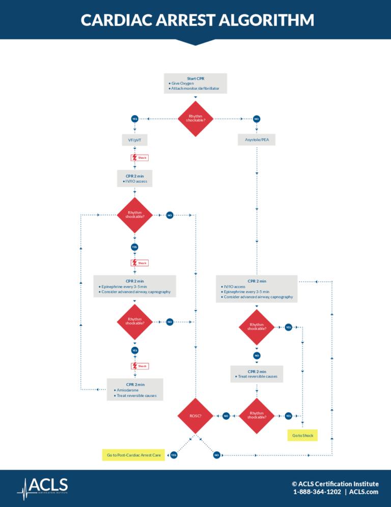 cardiac arrest algorithm